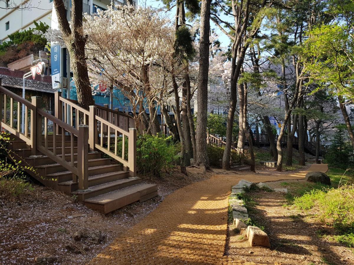 Suntree Hotel Busan Exterior photo